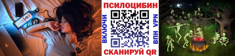 купить   Северо-Курильск  shop какой сайт  Псилоцибиновые грибы GOLDEN TEACHER  мега зеркало 
